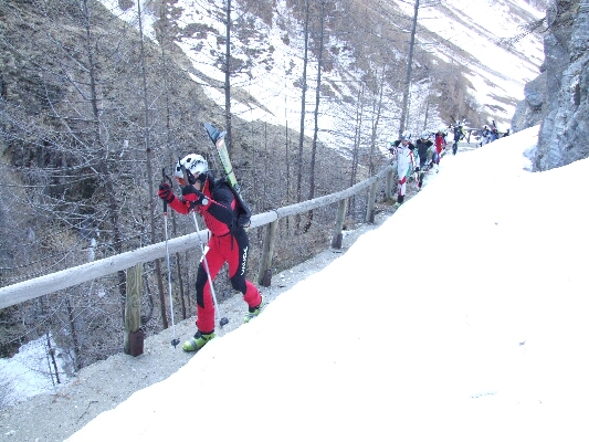 Wurmaul 2009155.JPG