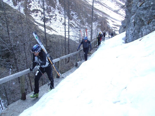 Wurmaul 2009166.JPG