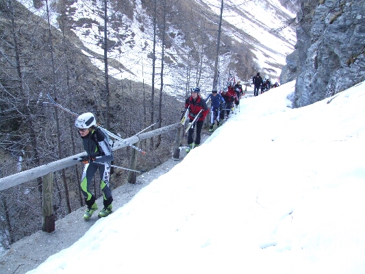 Wurmaul 2009179.JPG