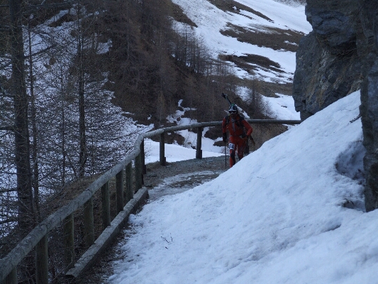 Wurmaul 2009199.JPG