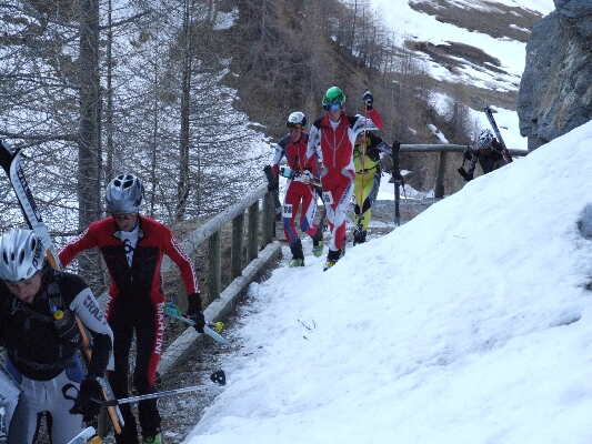 Wurmaul 200988.JPG