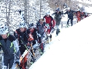 Wurmaul 2009133.JPG