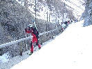 Wurmaul 2009155.JPG