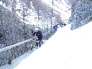 Wurmaul 2009170.JPG