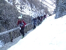 Wurmaul 2009173.JPG