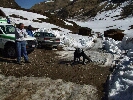Wurmaul 200936.JPG