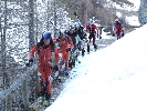 Wurmaul 200970.JPG