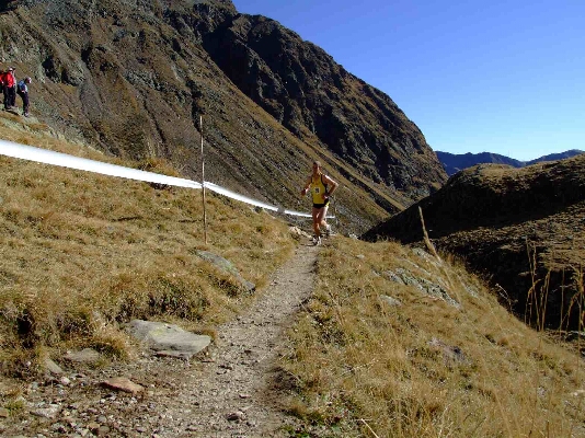 Tiefrasentlauf08141.JPG